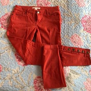 Life in Progress Burnt Orange Pants |24|